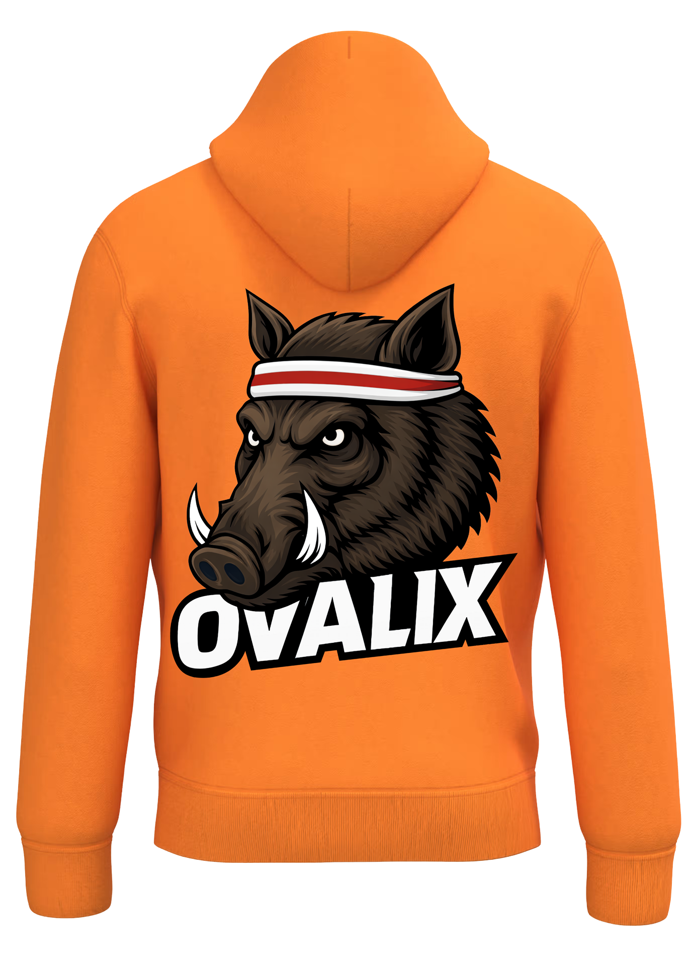 Native Spirit Sweat-shirt